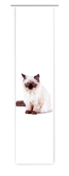 Majesti Katzenbaby, Flächenvorhang Einzel